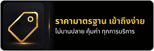 ราคามาตรฐาน เข้าถึงง่าย ราคามาตรฐาน เข้าถึงง่าย